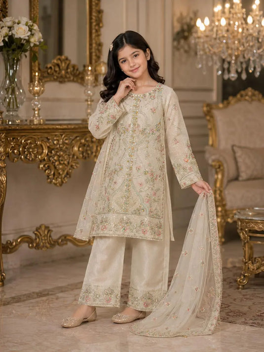 KD NA 02 TANVEER COLLECTION